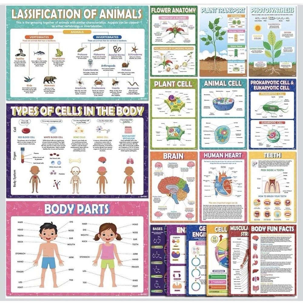 Biology Posters 18–11x17 Inch Biology Classroom Decor, Life Science New